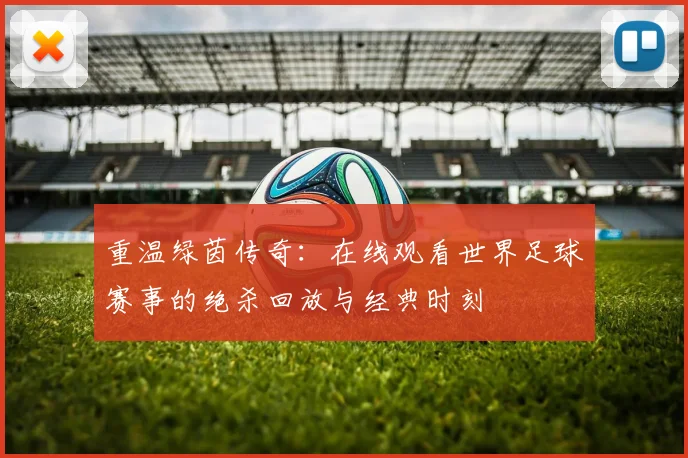 重温绿茵传奇:在线观看世界足球赛事的绝杀回放与经典时刻