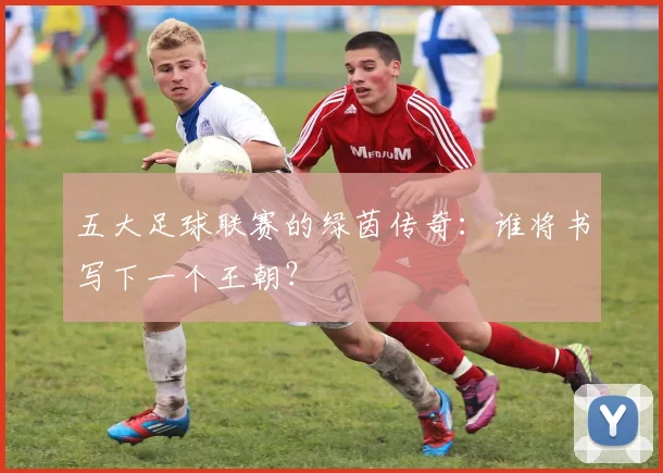 五大足球联赛的绿茵传奇:谁将书写下一个王朝?